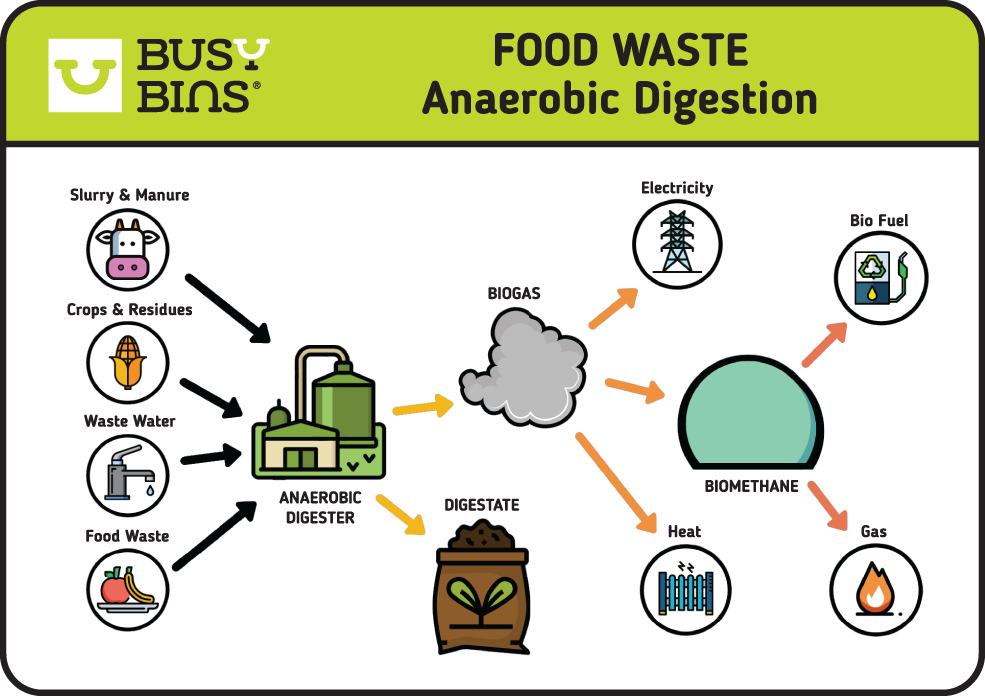 Food Waste Anaerobic Digestion Process Image. Simplified graphic showing the inputs of slurry and manure, crops and residues, waste water and food waste going into an anaerobic digester with outputs of biogas and digestate (compost). The Biogas is then used for electricity, heat or biomethane. 